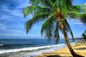 Top 22 bãi biển đẹp mùa hè hay nhất 2022