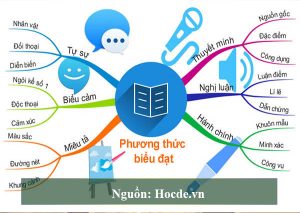 Top 19 các phương thức biểu đạt và dấu hiệu nhận biết hay nhất 2022