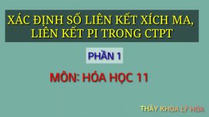 Top 16 liên kết xích ma hay nhất 2022