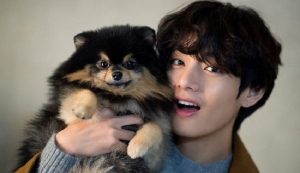 Top 16 yeontan là giống chó gì hay nhất 2022