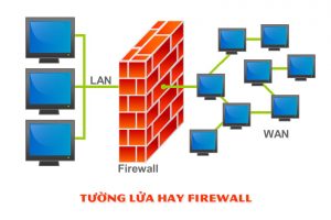 Top 16 vuot tuong lua basam hay nhất 2022