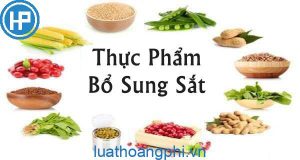 Top 18 bổ sung tiếng anh là gì hay nhất 2022