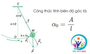 Top 19 biên độ góc hay nhất 2022