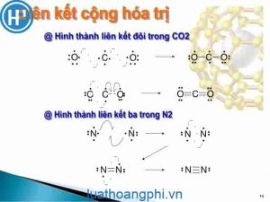 Top 15 liên kết cộng hóa trị được tạo thành bằng hay nhất 2022