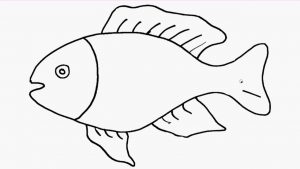 Top 15 cách vẽ con cá hay nhất 2022