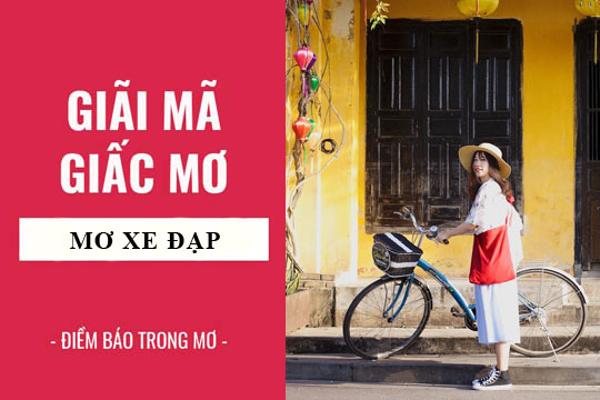 Top 15 nằm mơ thấy xe đạp hay nhất 2022