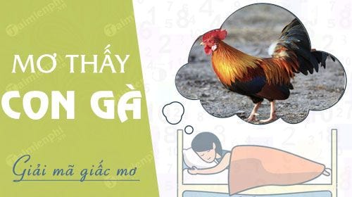 Top 19 mơ thấy gà đánh con gì hay nhất 2022