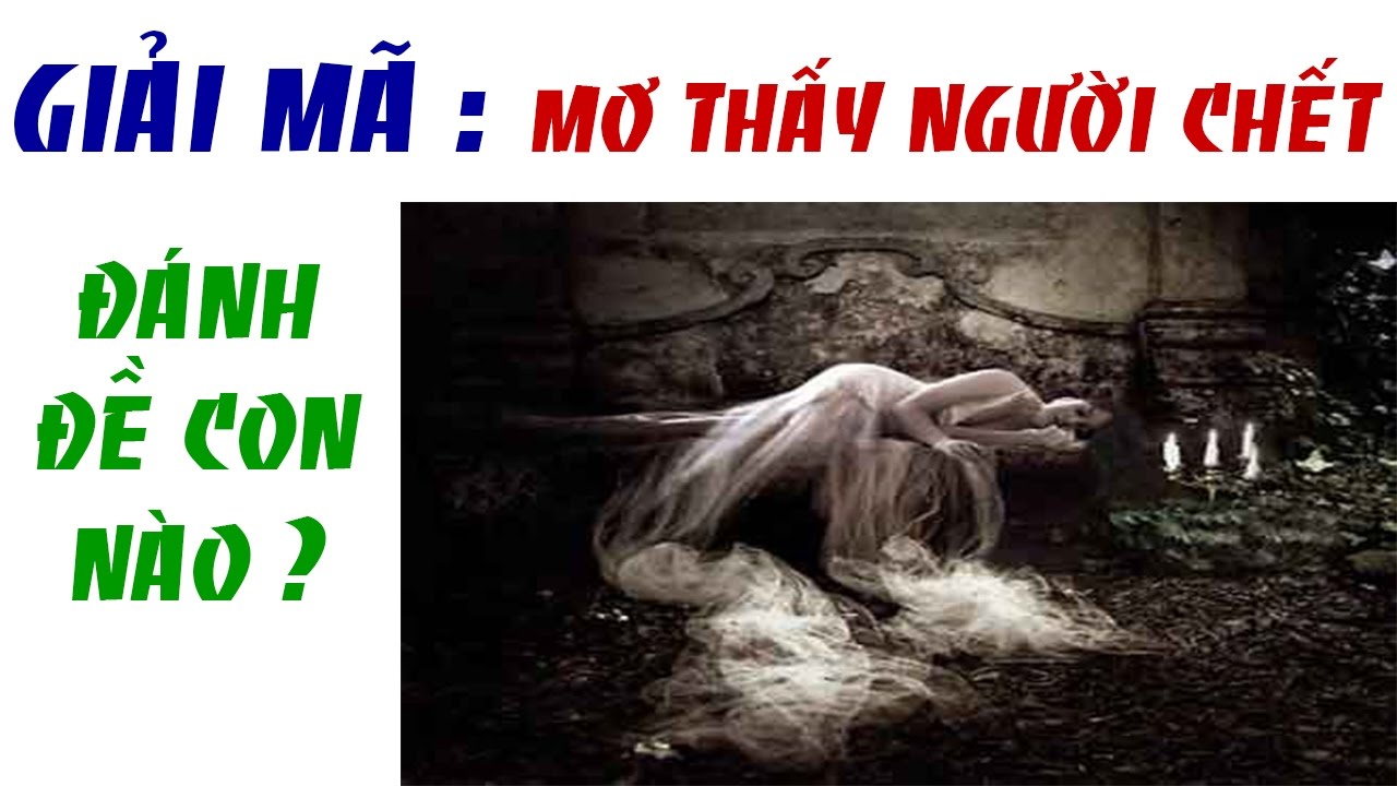 Top 17 mơ thấy người chết đánh con gì hay nhất 2022